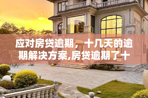 应对房贷逾期，十几天的逾期解决方案,房贷逾期了十几天怎么办