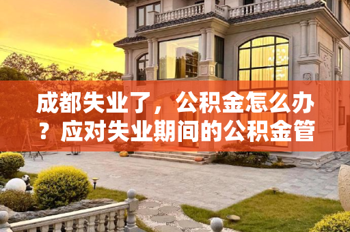 成都失业了，公积金怎么办？应对失业期间的公积金管理策略,成都失业了公积金可以怎么办
