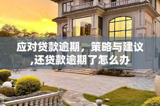 应对贷款逾期，策略与建议,还贷款逾期了怎么办
