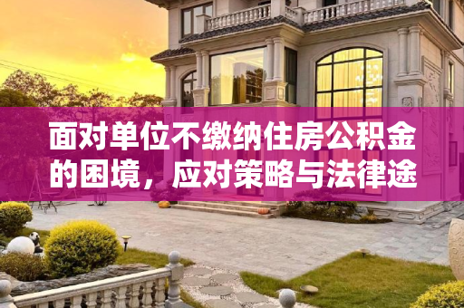面对单位不缴纳住房公积金的困境，应对策略与法律途径,单位不缴纳住房公积金怎么办